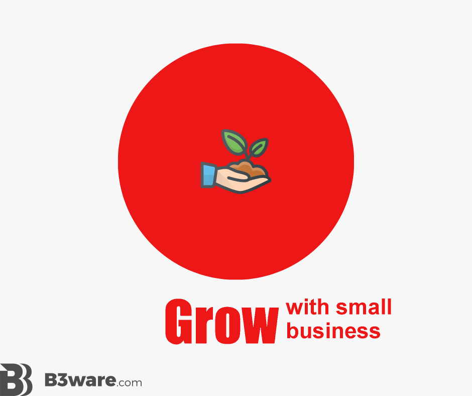 B3Ware - Review Criteria - Grow with Small Business